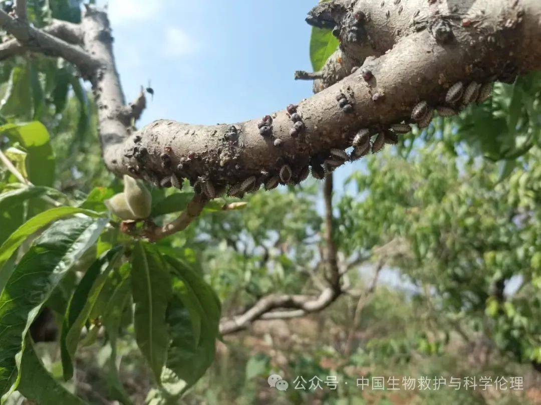 刘玉升：“村·园综合体PG电子平台”促进生态农业发展 祝阳农耕文化大讲堂(图4)