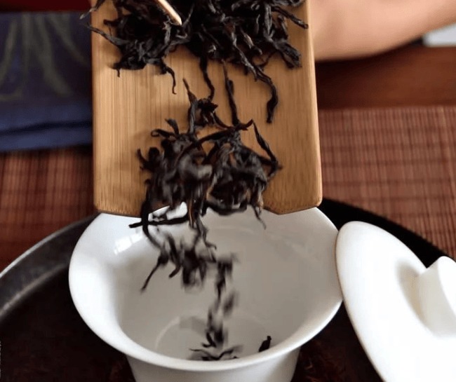 赵晓庆|茶叶百科：揭秘一杯茶背后的科学与艺术
