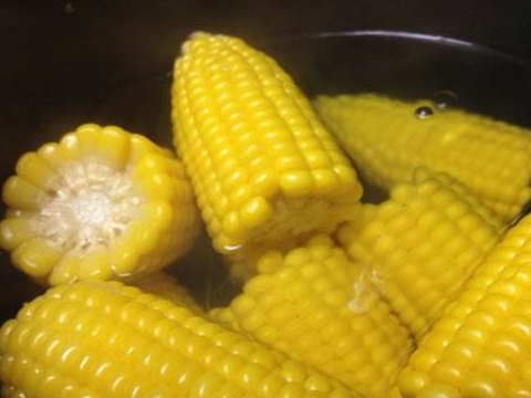 煮玉米该用冷水还是热水好？一步错步步错，难怪玉米不饱满不香甜