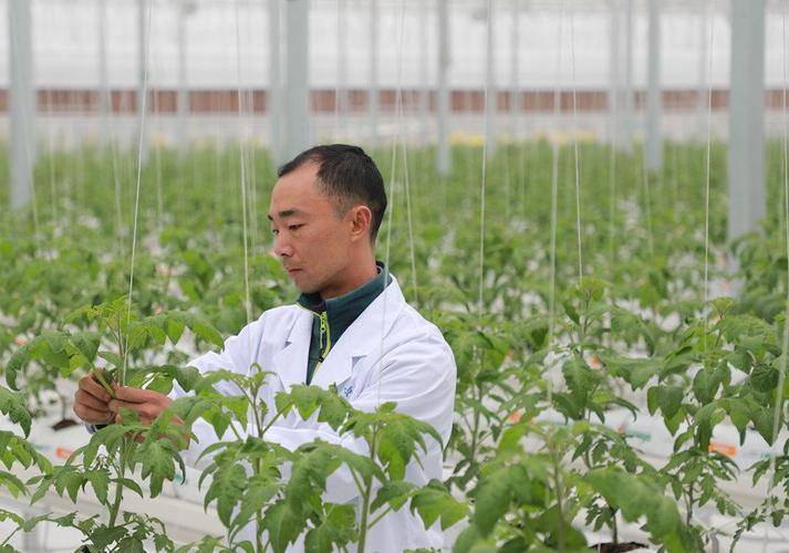 2024农业技术员怎么考？证书报名流程及条件，工作内容和职业前景如何