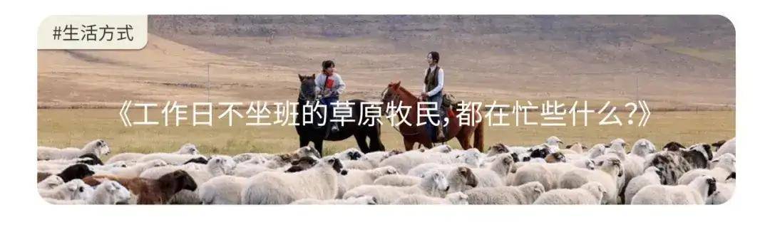 民宿都在争抢流量，80%都是竹篮打水？
