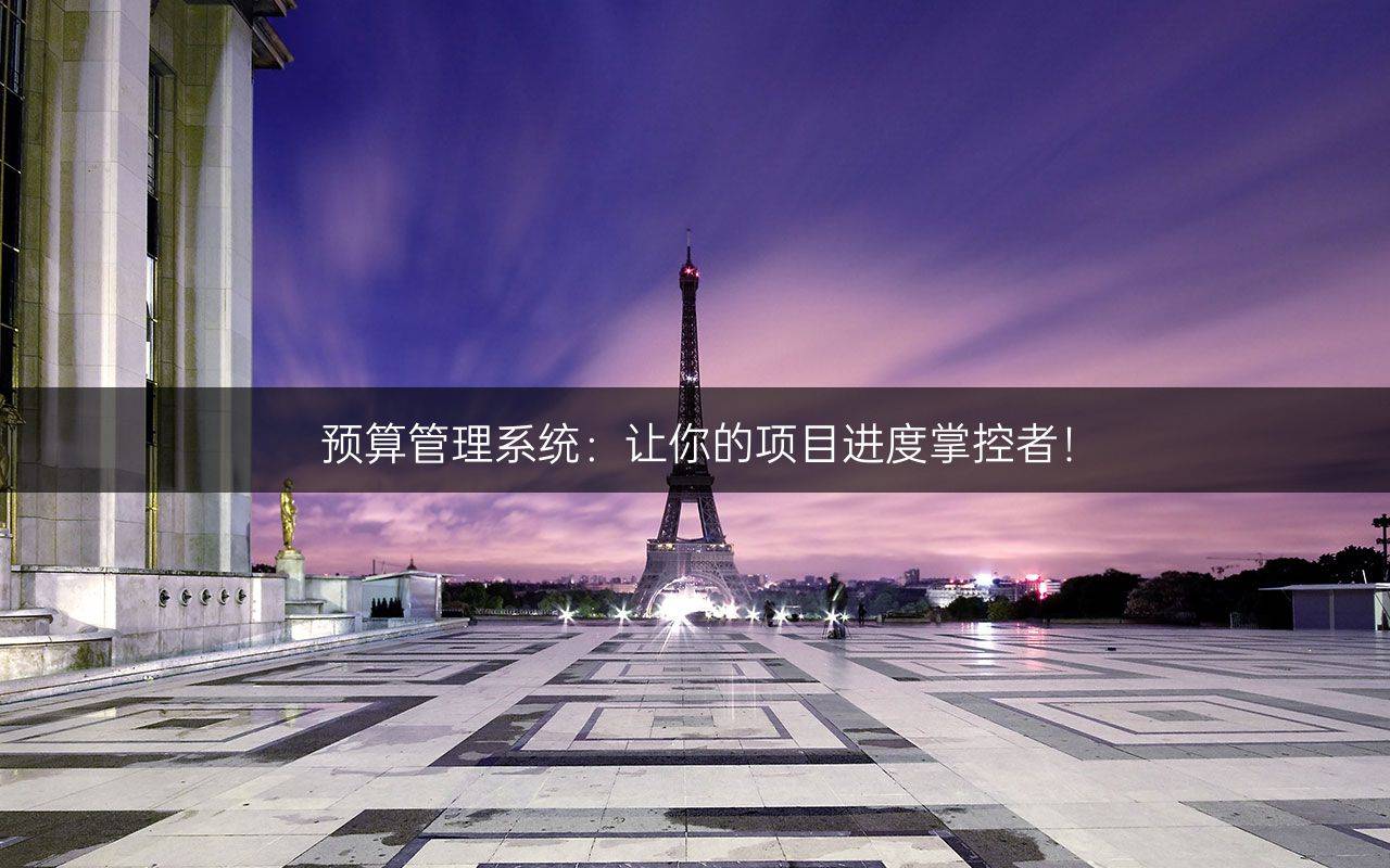 预算管理系统：让你的项目进度掌控者！