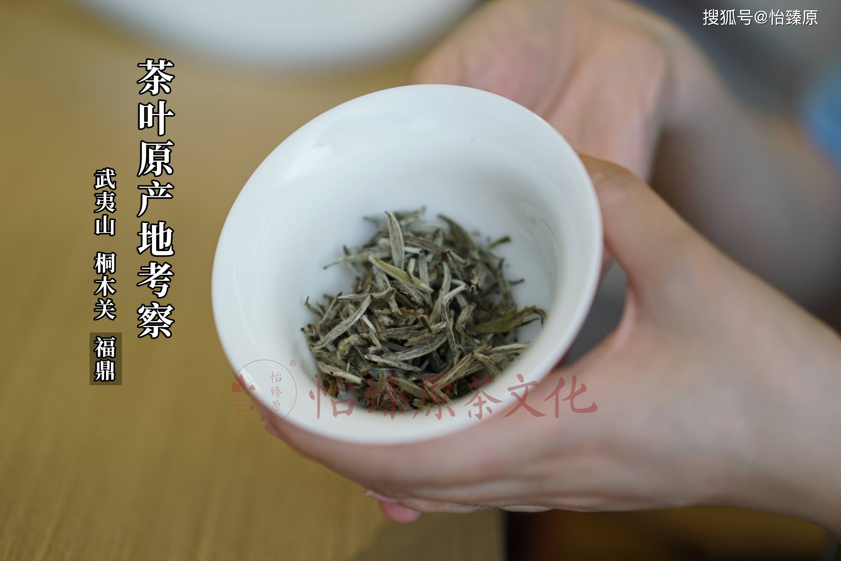 深入福鼎白茶原产地，品味大自然的馈赠，健康茶中佳品