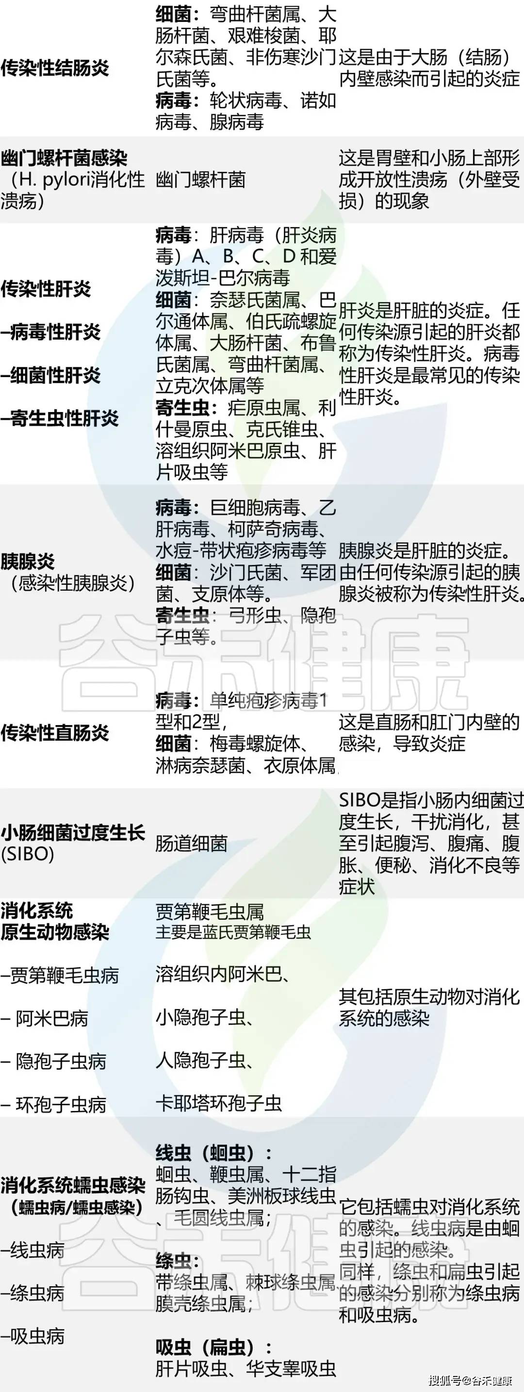 文章配图-4