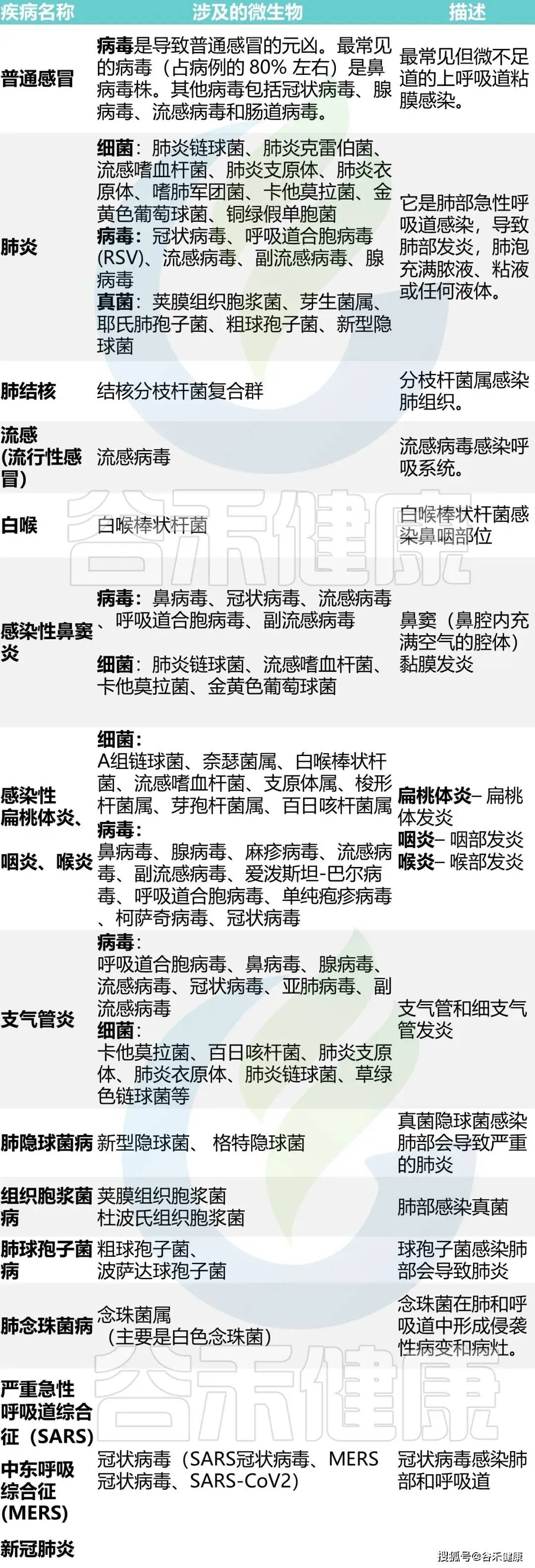 文章配图-5