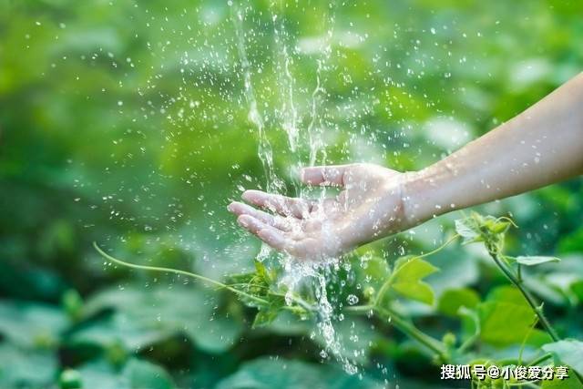 🌸中国青年报【王中王一肖一中一特一中】|“守护健康”公益课堂开讲，窝小芽助力婴童营养科普  第4张