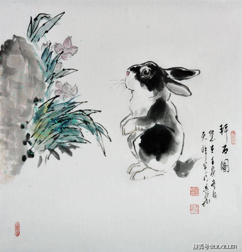 生肖虎，兔，龙，2024年8月综合运势分析！