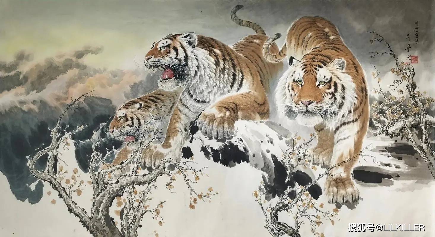 生肖虎，兔，龙，2024年8月综合运势分析！