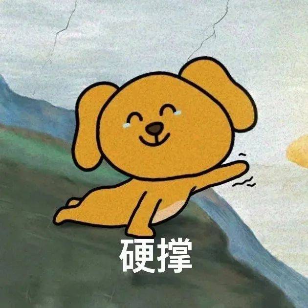 近几年,魔都的国际学校都涨了不少,比如上海德威
