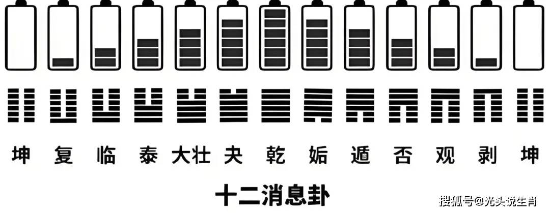 十二生肖运势，8月4日 七月初一 周日；8月运势解读 申猴 酉鸡 戌狗 亥猪
