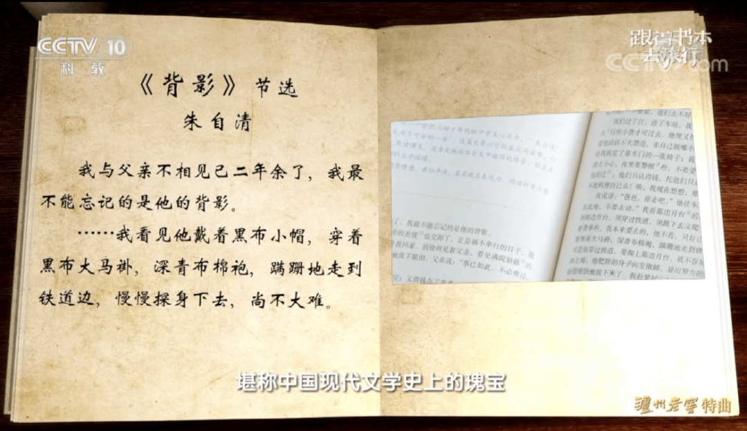 酷狗音乐：香港二四六开奖资料大全微厂一-从修复“香香们”的栖息地到开展自然教育，沃尔沃集团生态实践再出新策