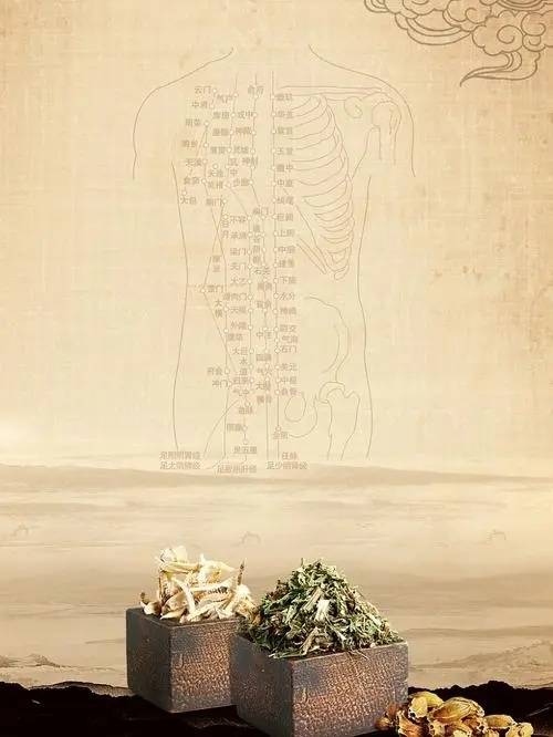 养生之道：提升身心素质，尽享生活之美