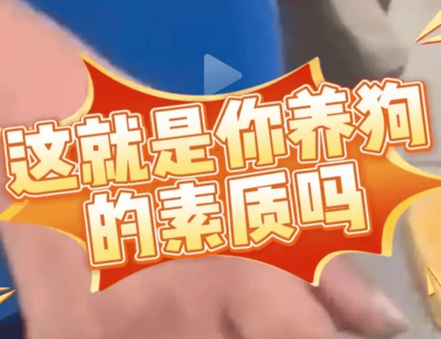 反转!女子遛狗尿轮胎上,被发现后拒绝清理,车主拿砖头砸狗泄愤-狗尿到车轮胎上算命