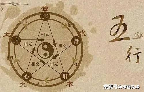 文章配图-5