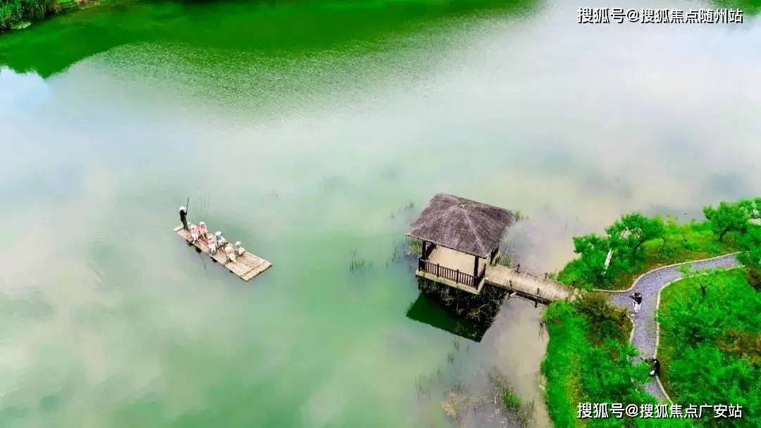 文章配图-11