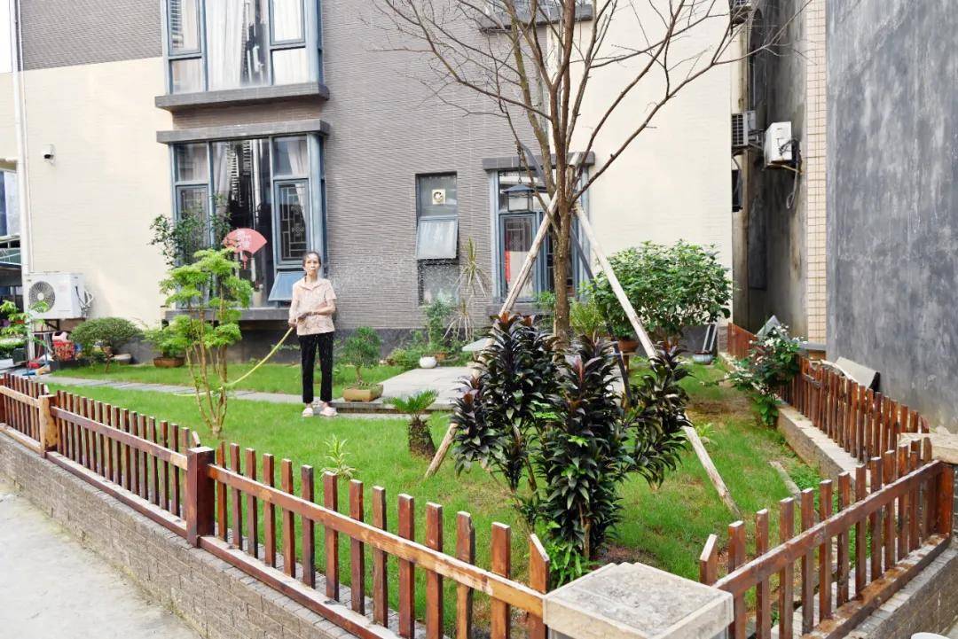 雷州附城镇：“美丽庭院”打造农村宜居宜业新环境