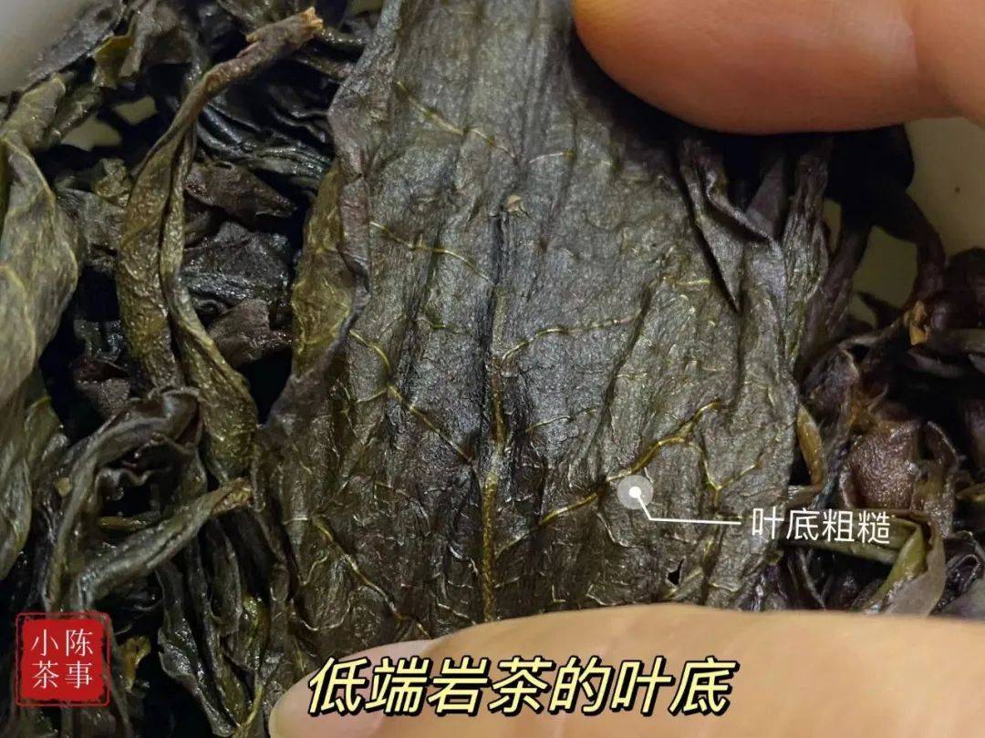 原创
50块一斤的岩茶能喝吗?我专门买了一份,现场试喝给你看