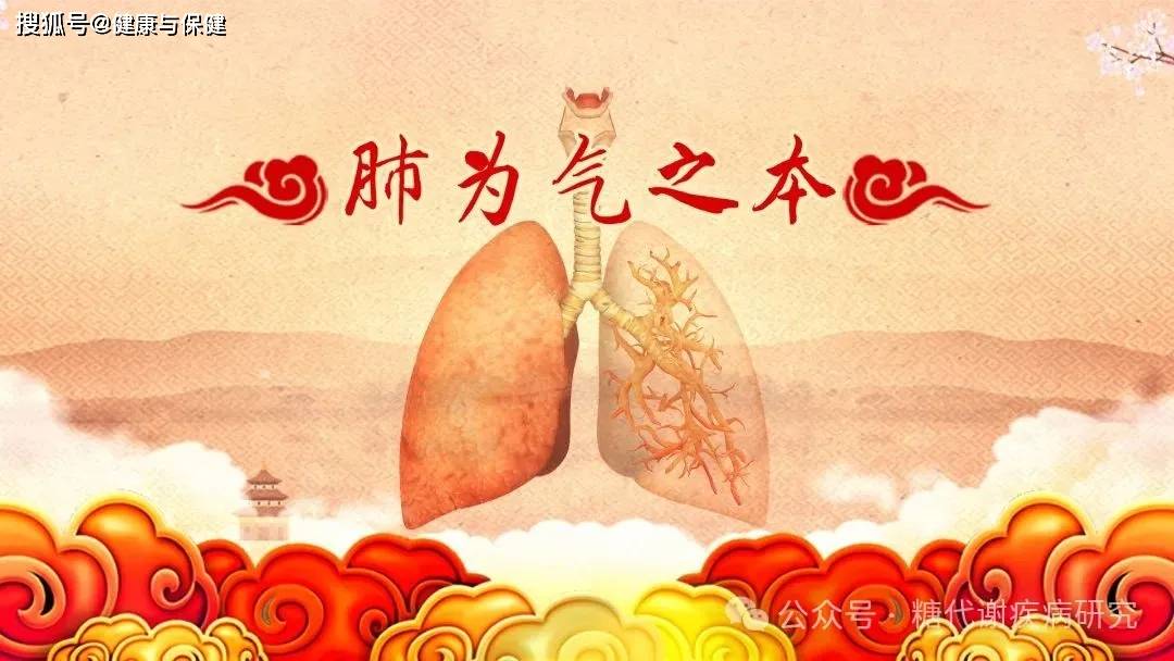 肺的养生之道知多少？