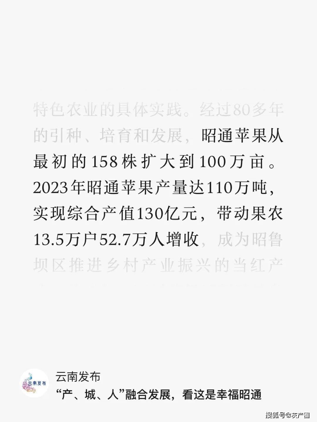 今年昭通苹果批发价格