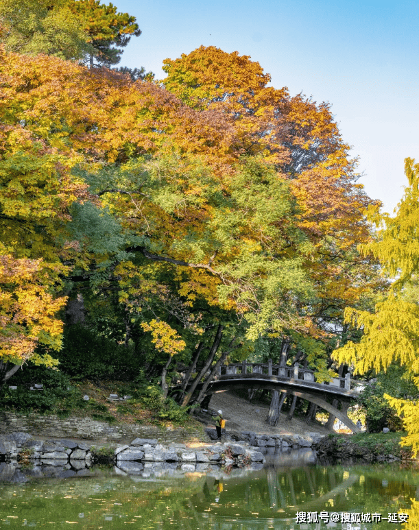 美嘉体育网址北京旅游攻略｜一家人旅游五天四晚跟团路线主打一个不绕路(图4)