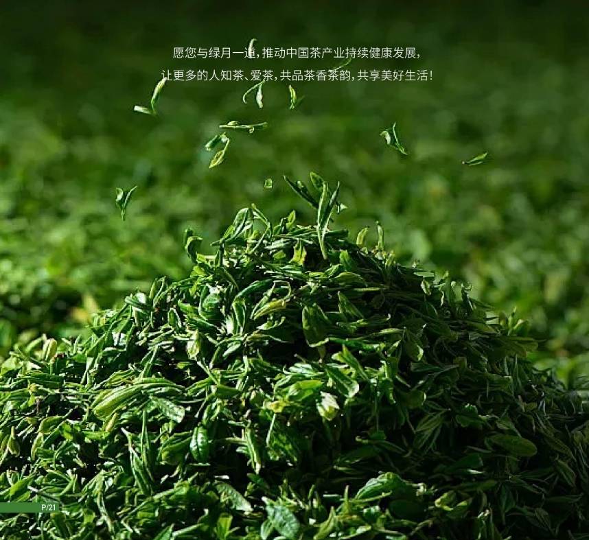 OB电竞平台绿月茶业：茶文化的重点是茶艺(图1)