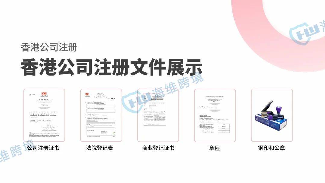 2024年四种不同类型的离岸公司怎么选？(图3)