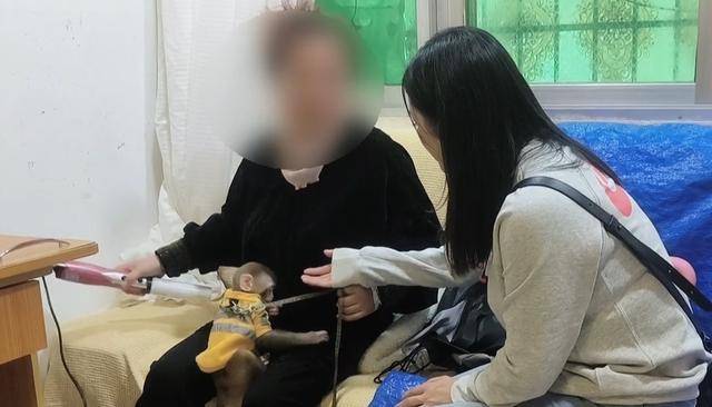 女子在贵阳黔灵公园捡到受伤小猴,养了半年后麻烦不断……相关部门:已涉嫌违法 女子在贵阳黔灵公园捡到受伤小猴,养了半年后麻烦不断……相关部门:已涉嫌违法