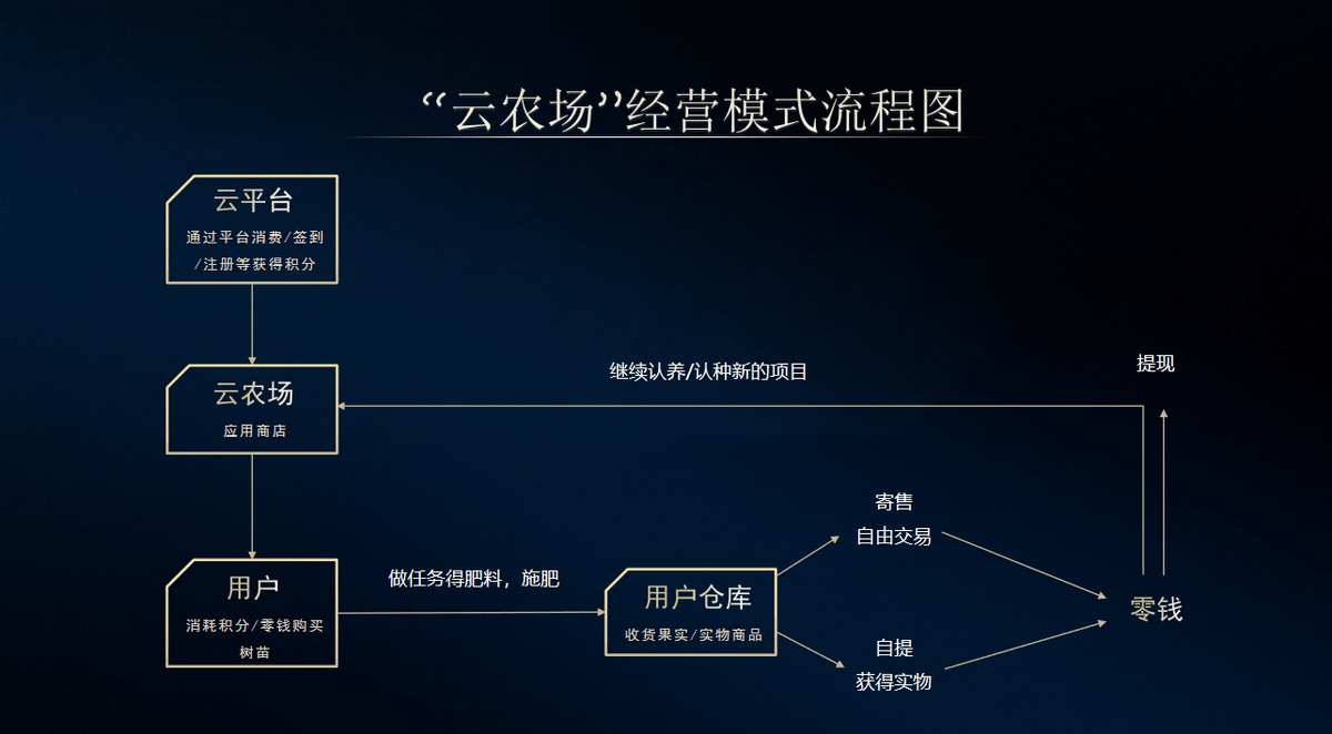 必赢入口云农场种植：农业与科技的绿色融合(图3)