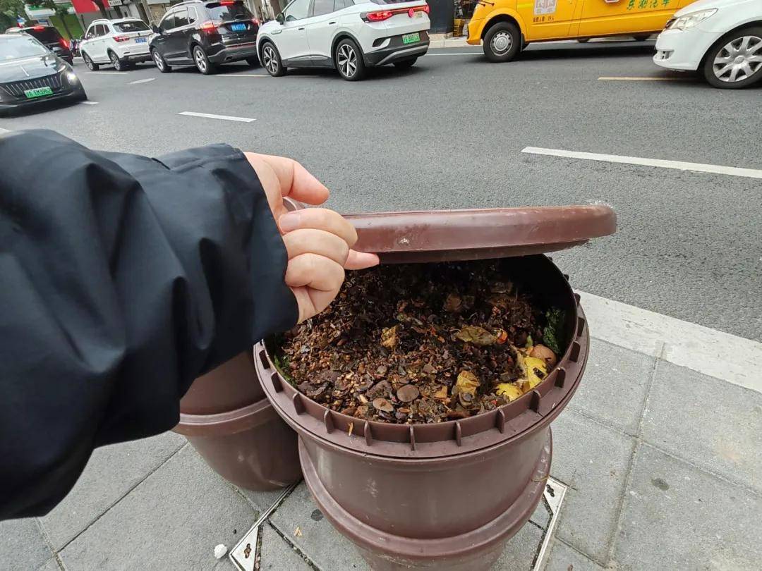 星空体育入口看着恶心听着闹心沪上小区居民遭遇“密集恐惧”一个月“投诉了N次”→(图3)