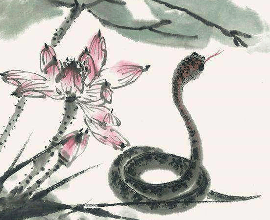 金蛇狂午升平岁，桂花香来是佳人是什么生肖指什么动物，仔细诠释解释落实