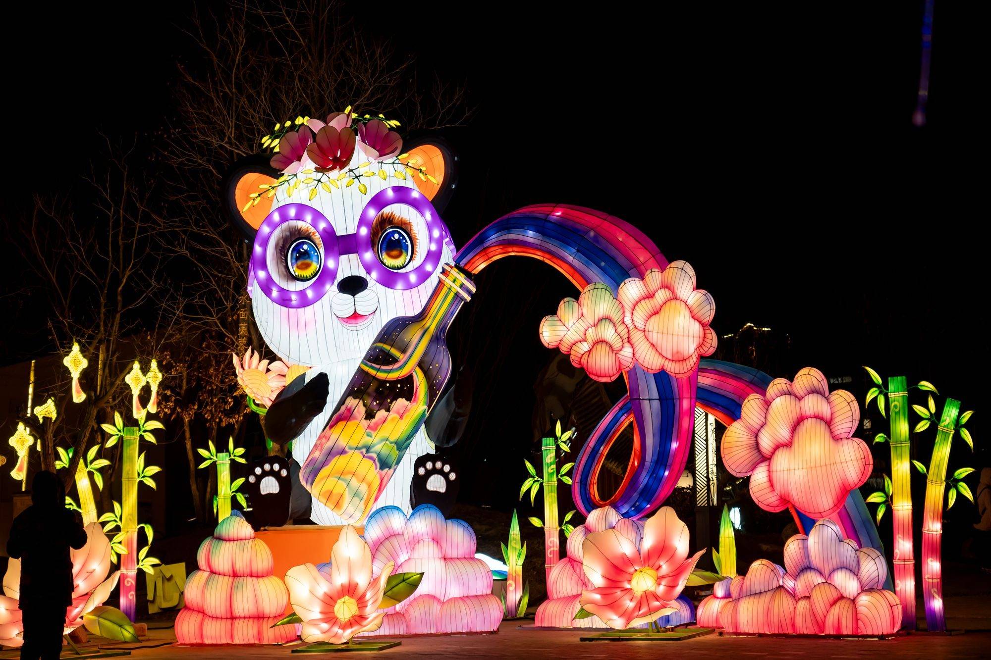 北京世园花灯艺术节赏花灯过大年传统与科技交织充满浪漫(图12)