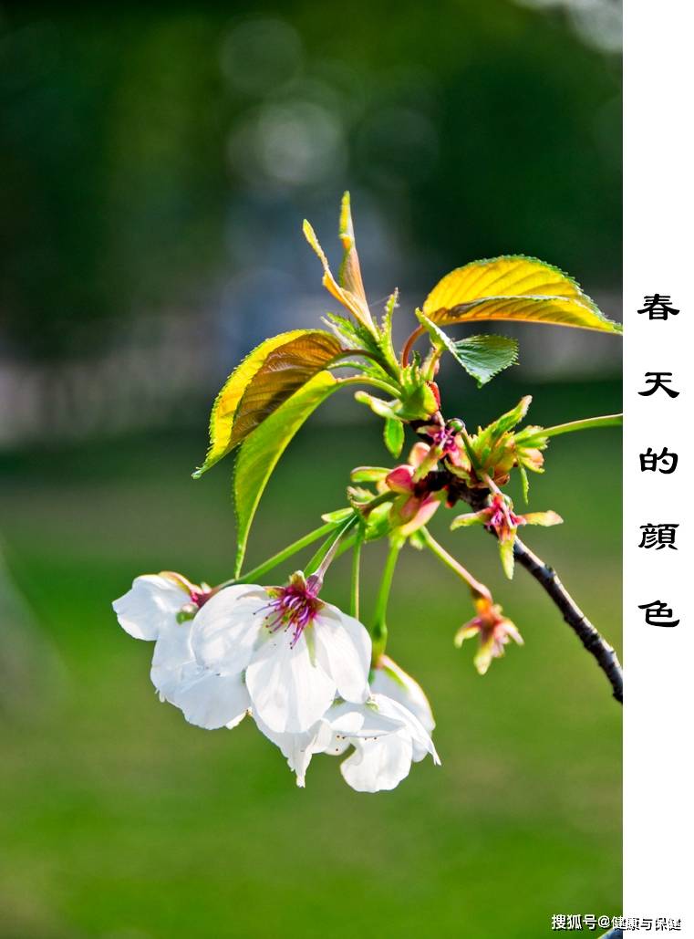 季春是什么意思？