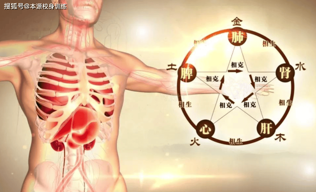 有动。“运”是身体内在五脏六腑的运化，“动”是身体外在四肢的活动。