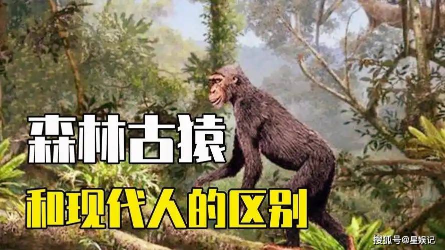 原创             世界上本来没有人，那么第一个人是怎么来的？