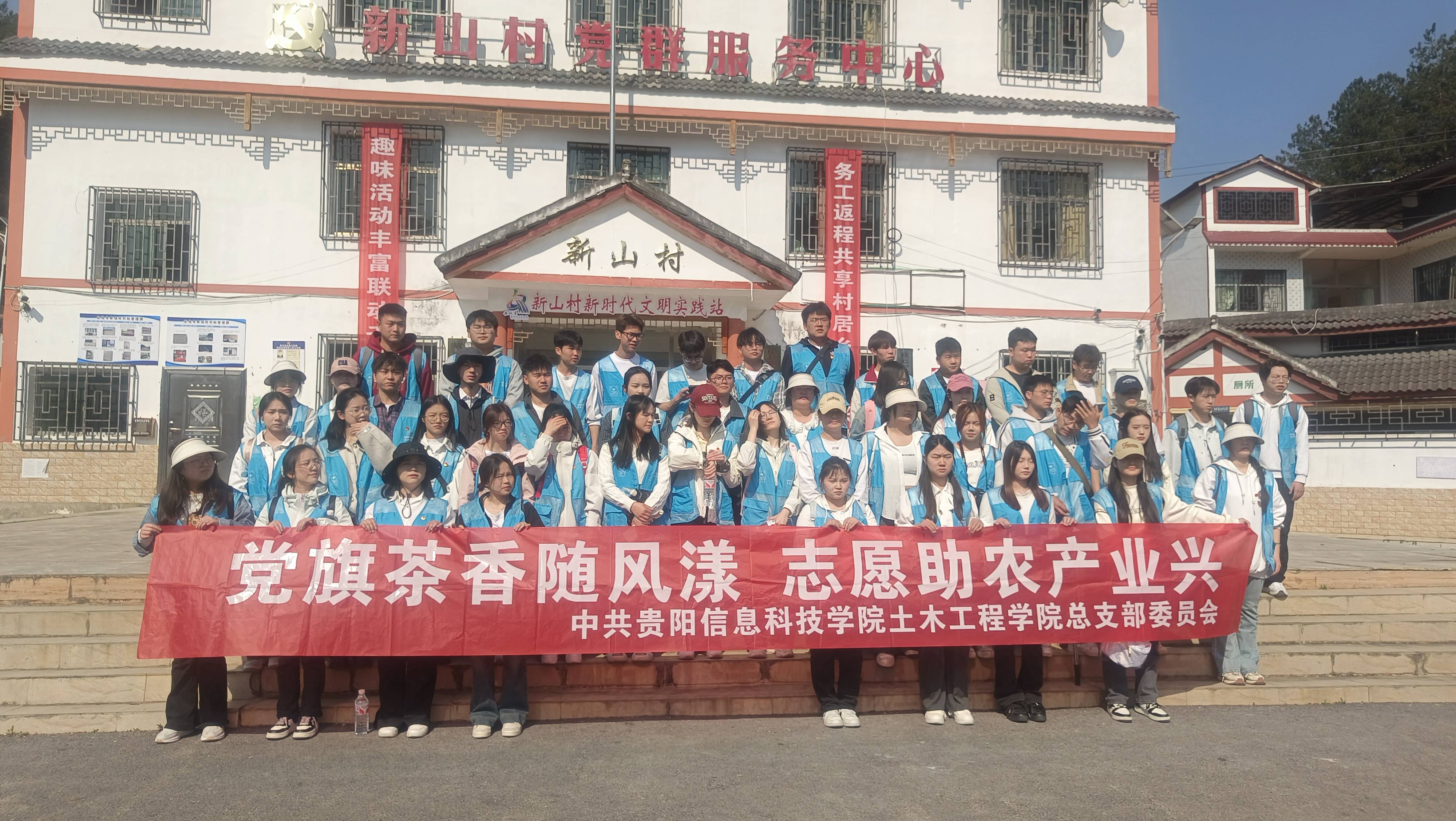 茶香氤氲满春山紫云县坝羊镇43万亩茶园迎来“黄金雷火竞技采摘季”(图5)