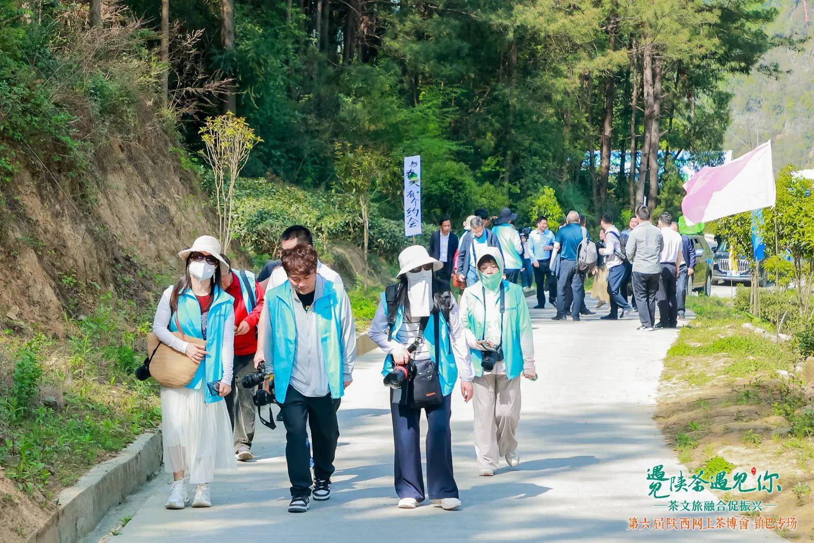 手摘春意茶香飘第六届陕西网上茶博会镇巴专场活动盛大启幕OB电竞APP(图4)