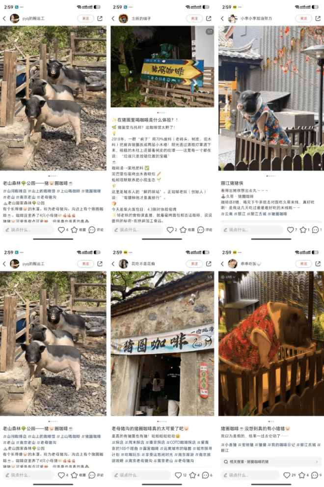 开云app年吸20万人次？一场“土味小资”的乡村咖啡狂欢正在全国上演(图2)