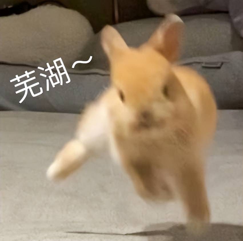 手搓海上丝绸之路重塑闽南文化之都国风天花板真的实锤PG电子app了(图1)