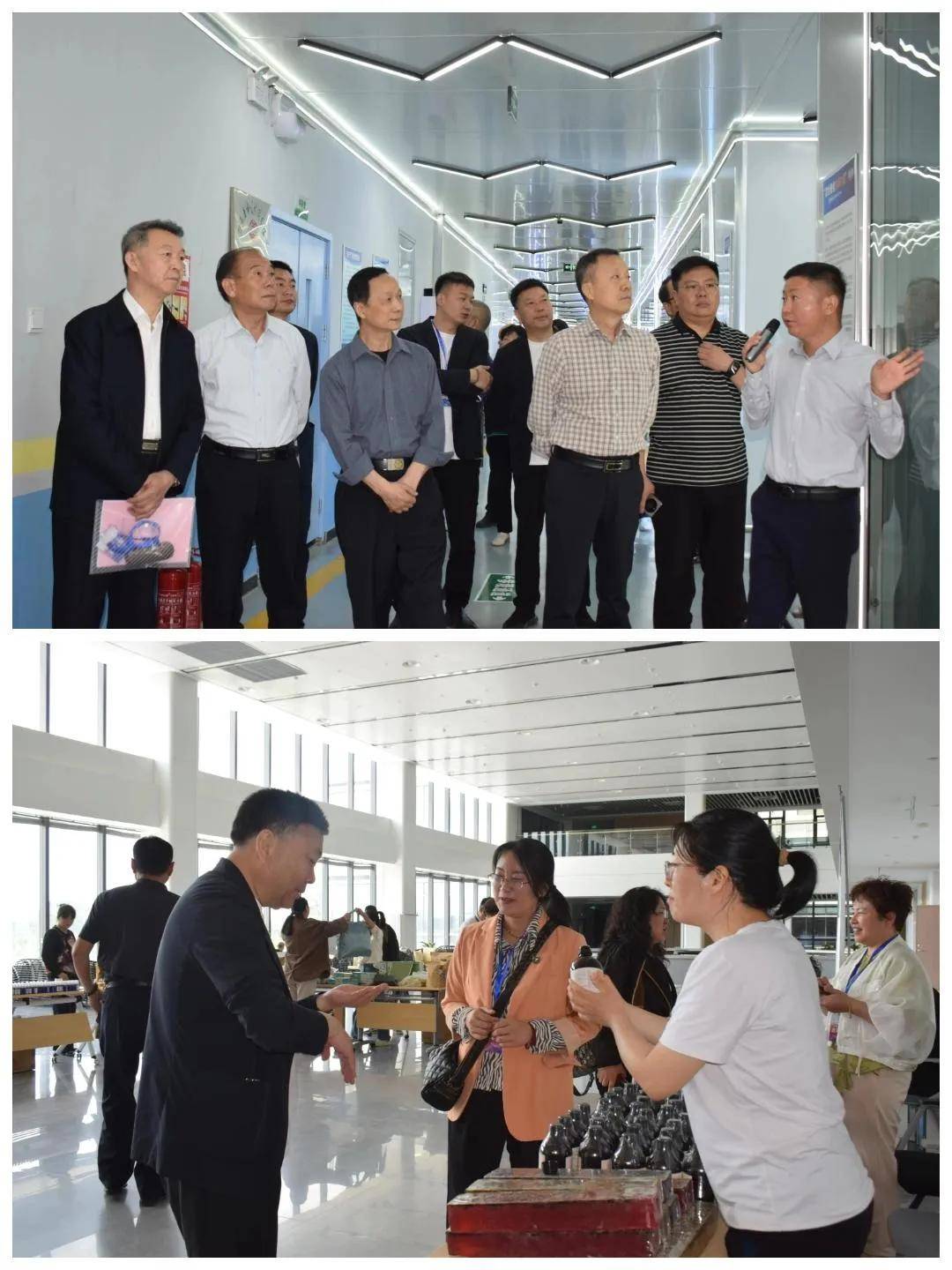 活力赋能乡村振兴大健康麻将胡了绽放芳香产业新(图1)