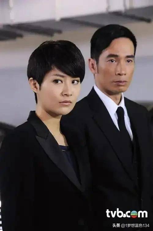 香港无线（tvb）电视剧（585-586）大盘点