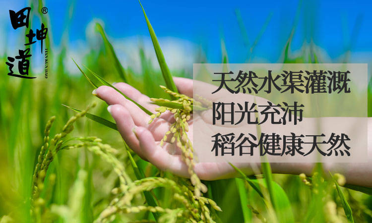 寒土地臻食汇与央视携手共创生态未来