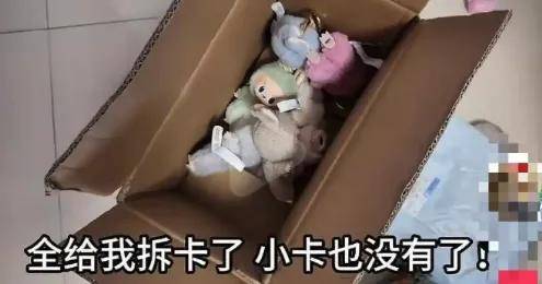 原创             12万笔记吐槽Labubu被拆盒偷换，快递员杀疯了？