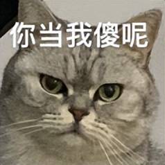 原创             苹果刚公布这项新技术，是想赶超华为？
