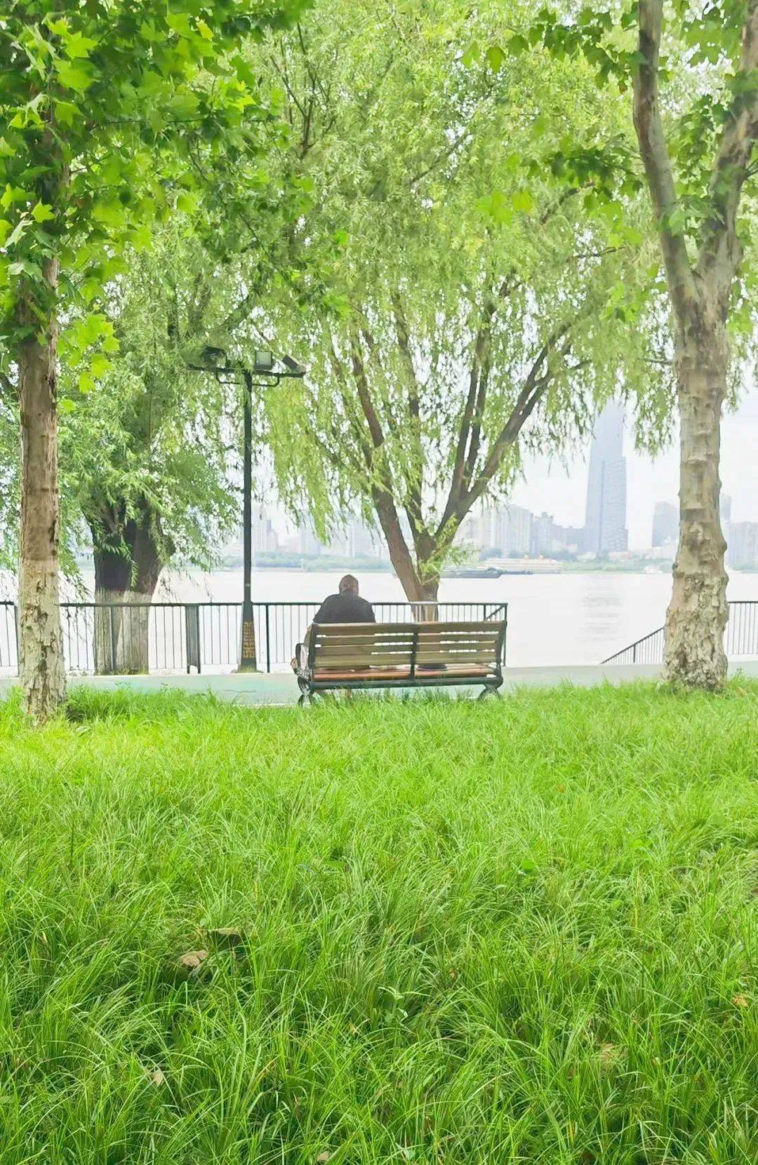 面而来，比空调舒爽很多。要提醒的是，去绿荫下乘凉要记得带防蚊水哟。