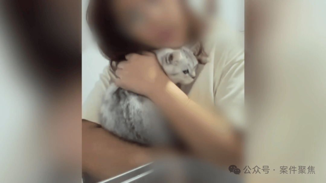 女子丢下爱猫失联多日，卫生间发现一滴血迹！男友：她爱猫胜爱我