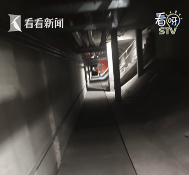 事发上海晚高峰！车辆自燃隧道堵得水泄不通，广播通知请弃车离开，孕妇即将临盆