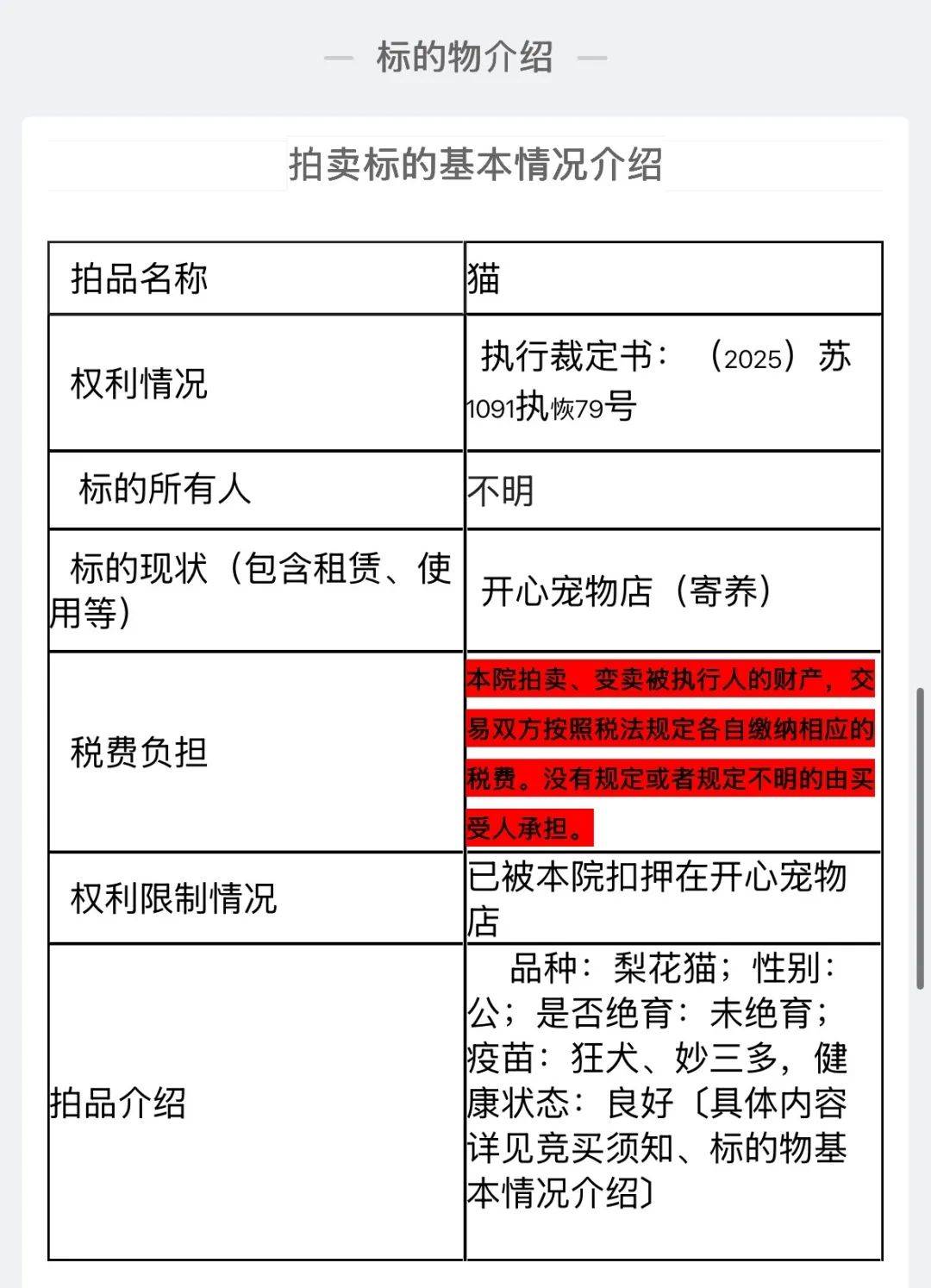 主人欠钱3岁狸花猫被法拍，起拍价500元！宠物店：寄养费已超两万