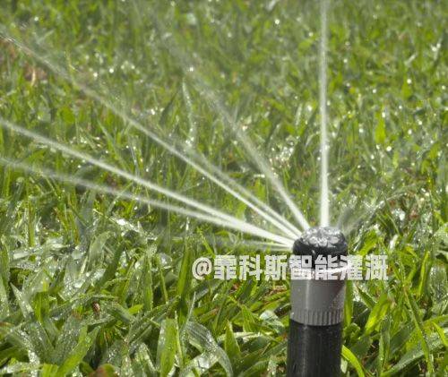自动节水灌溉：科技助力农业与园林的节水革命