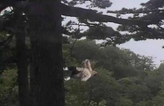 《西游记》“骗”了我们38年龙宫竟然是用鱼缸拍的真有大智慧