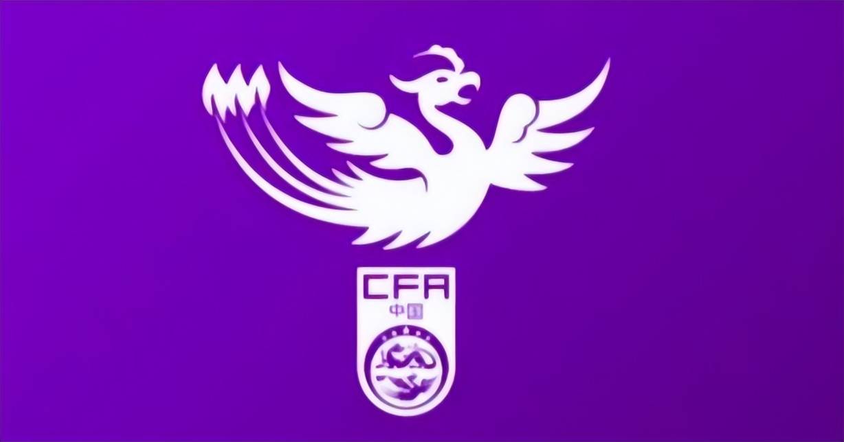 原创             喜讯！国足名宿郜林解锁新角色，成功转型成女足教练，未来可期